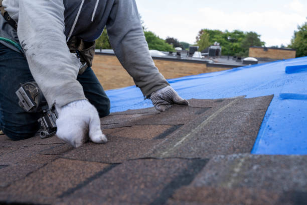 Roof Waterproofing Services in Five Points, NC