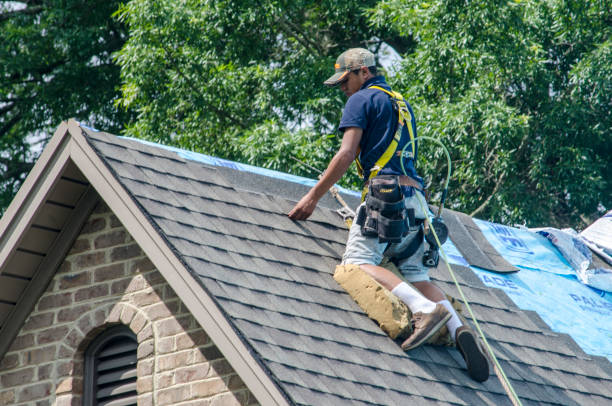 Best Shingle Roofing Installation  in Five Points, NC